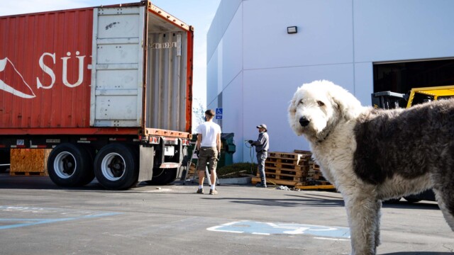 Lily, our warehouse supervisor